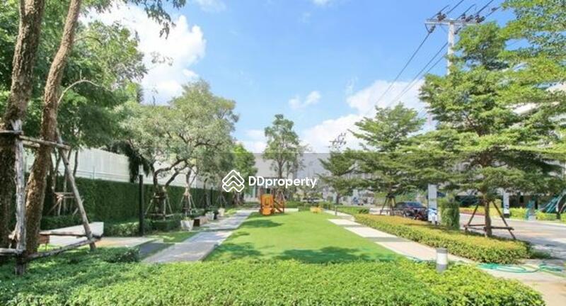 Baan Klang Muang Sukhumvit 77 : บ้านกลางเมือง สุขุมวิท 77  #0