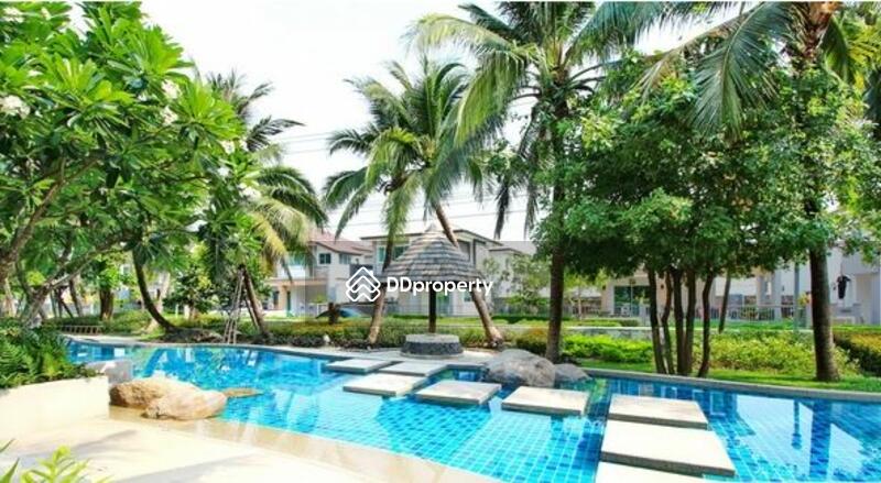 For Sale - Atoll Similan Reef On Nut – Romklao, Bangkok