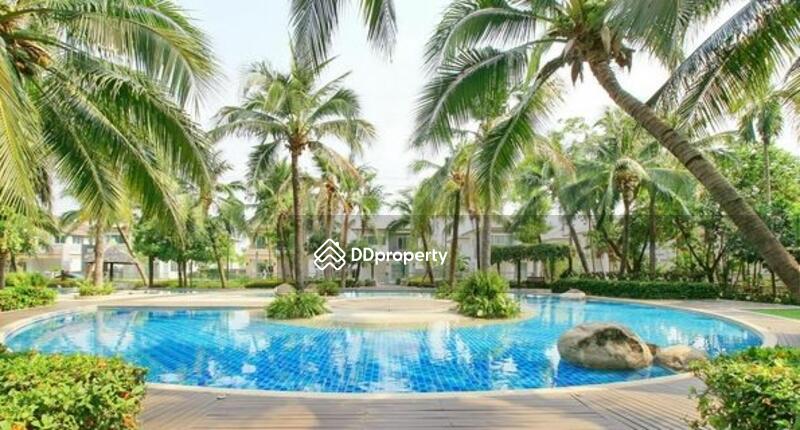 For Sale - Atoll Similan Reef On Nut – Romklao, Bangkok