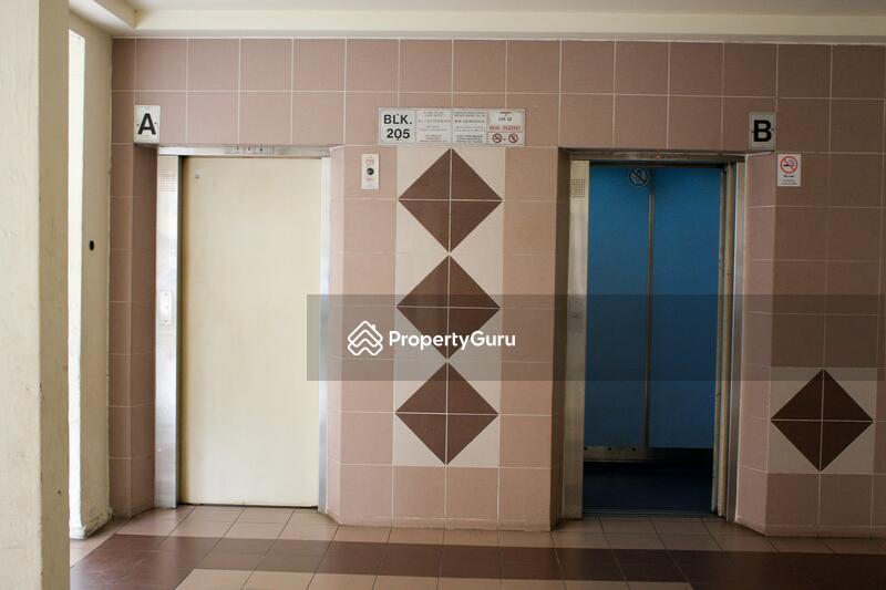 205 Yishun Street 21 #0