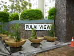 Pulai View #0