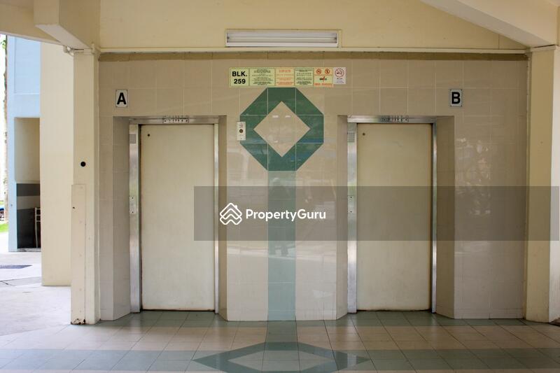 For Rent - 259 Yishun Street 22