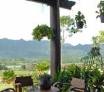 Phu Patra-Khao Yai : ภูภัทรา-เขาใหญ่ #0