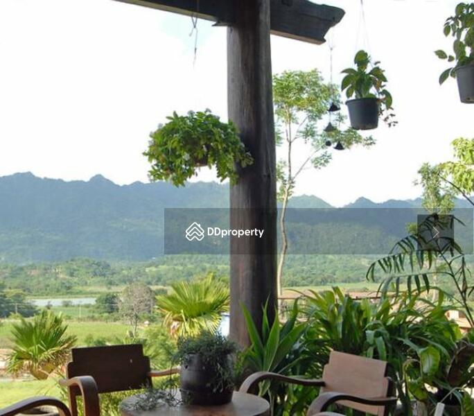 ขาย - Phu Patra-Khao Yai : ภูภัทรา-เขาใหญ่, นครราชสีมา