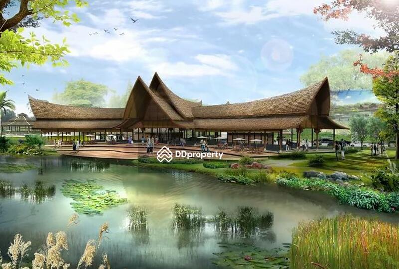 ขาย - Phu Patra-Khao Yai : ภูภัทรา-เขาใหญ่, นครราชสีมา