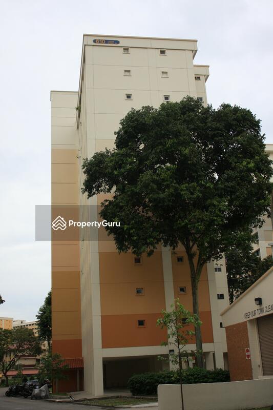610 Yishun Street 61 #0