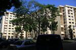 714 Yishun Street 71 #0