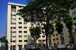714 Yishun Street 71 #0