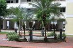 735 Yishun Street 72 #0