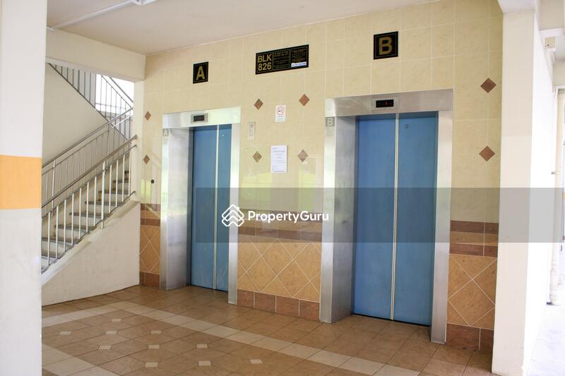 For Rent - 826 Yishun Street 81