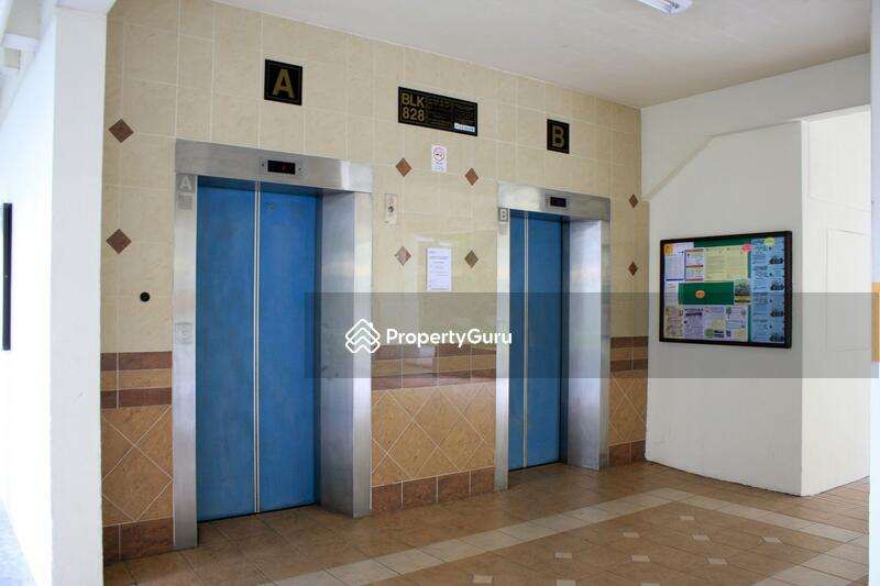 For Sale - 828 Yishun Street 81