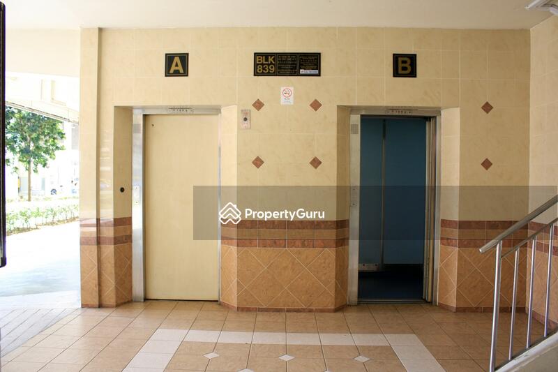 For Rent - 839 Yishun Street 81