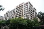 873 Yishun Street 81 #0