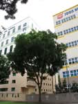 ADL Building #0