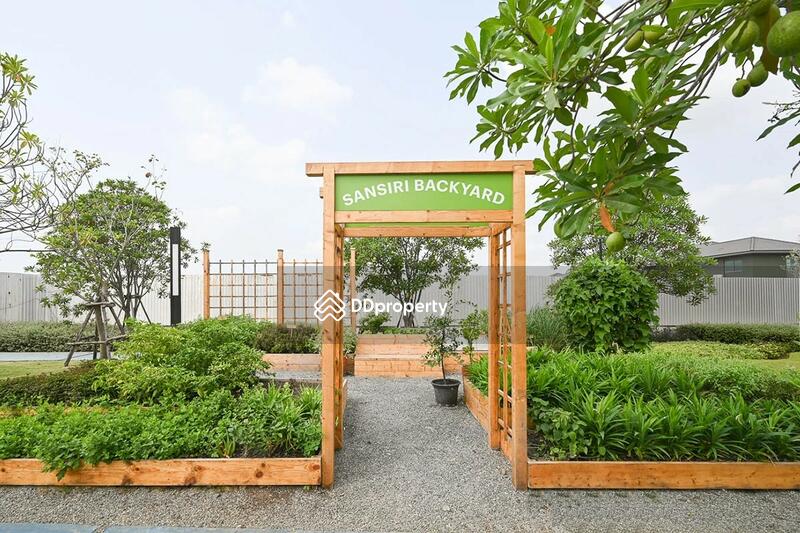 ขาย - Saransiri Chaiyaphruek-Chaengwattana : สราญสิริ ชัยพฤกษ์ แจ้งวัฒนะ, นนทบุรี