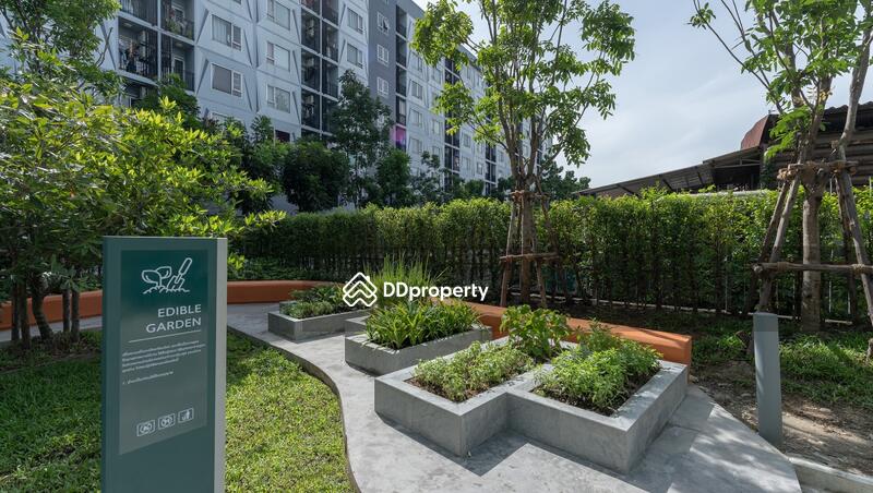 ขาย - Plum Condo Rama 2 : พลัม คอนโด พระราม 2, กรุงเทพ