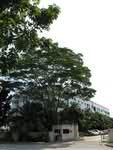 Apico Industrial Building #0