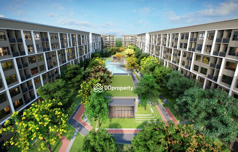 ขาย - พลัมคอนโด รังสิต อไลฟ์(Plum Condo Rangsit Alive), ปทุมธานี