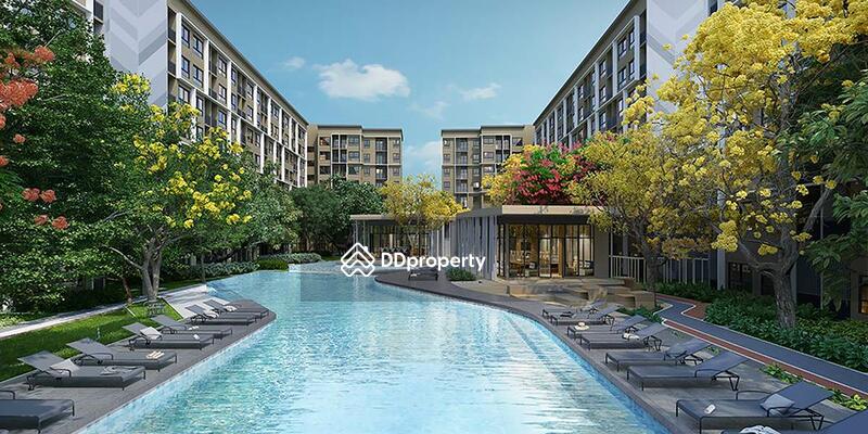 ขาย - พลัมคอนโด รังสิต อไลฟ์(Plum Condo Rangsit Alive), ปทุมธานี