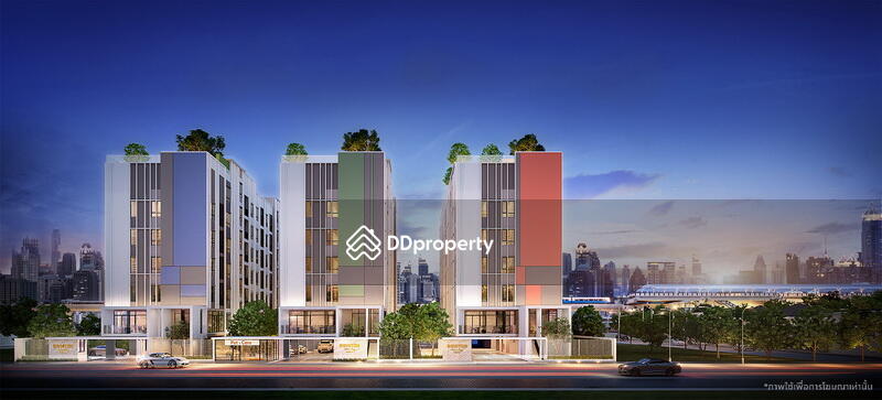 ขาย - Brixton Pet & Play Sukhumvit 107 : บริกซ์ตัน เพ็ทแอนด์เพลย์ สุขุมวิท 107, สมุทรปราการ