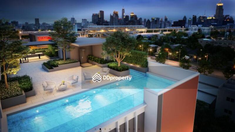 ขาย - Brixton Pet & Play Sukhumvit 107 : บริกซ์ตัน เพ็ทแอนด์เพลย์ สุขุมวิท 107, สมุทรปราการ