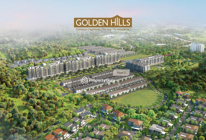 Untuk Dijual - Vines 3, Cameron Golden Hills