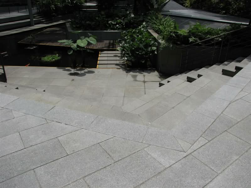 Biopolis, Nanos