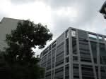 Biopolis, Neuros #0