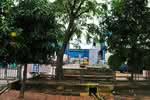 Chinsim Industrial Centre #0