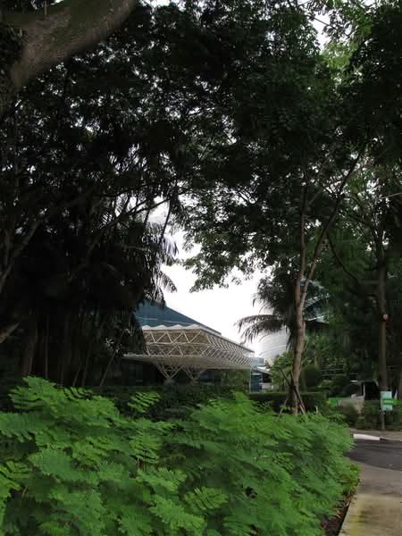 Cintech III, 77 Science Park Drive, 1,776 sqft, Business / Science Park For Rent, by CapitaLand Limited, 24095799 - CommercialGuru.com.sg