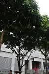 CJ GLS Building #0