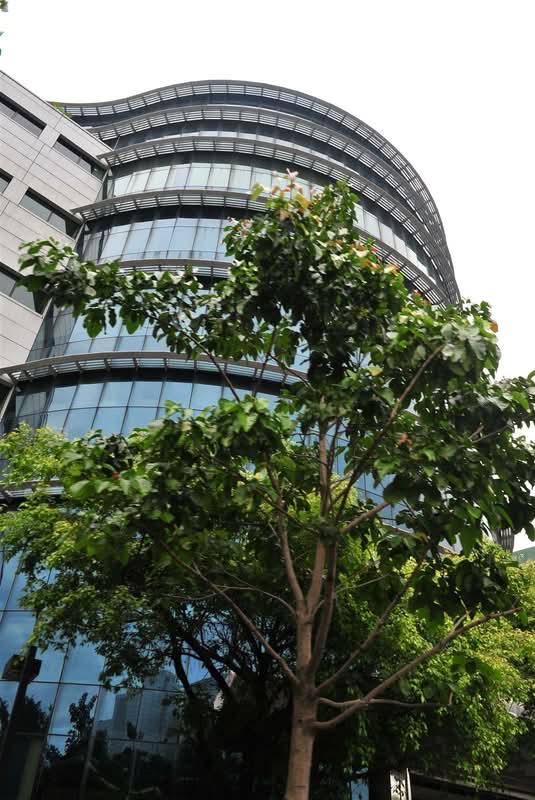 CJ GLS Building