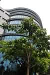 CJ GLS Building #0