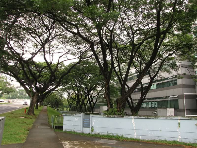 Clementi West Distripark, 1 Clementi Loop, Buona Vista / West Coast / Clementi New Town, 3,379 sqft, Factory / Workshop (B2) For Rent, by Isma Seeneevassen, 500273148 - CommercialGuru.com.sg