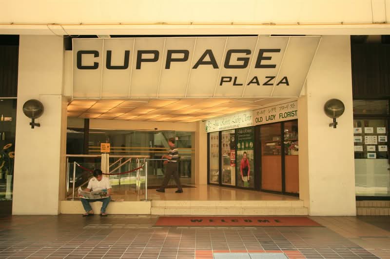 Cuppage Plaza, 5 Koek Road, 732 sqft, Other Retail For Sale, by Ivy Ng, 25529945 - CommercialGuru.com.sg