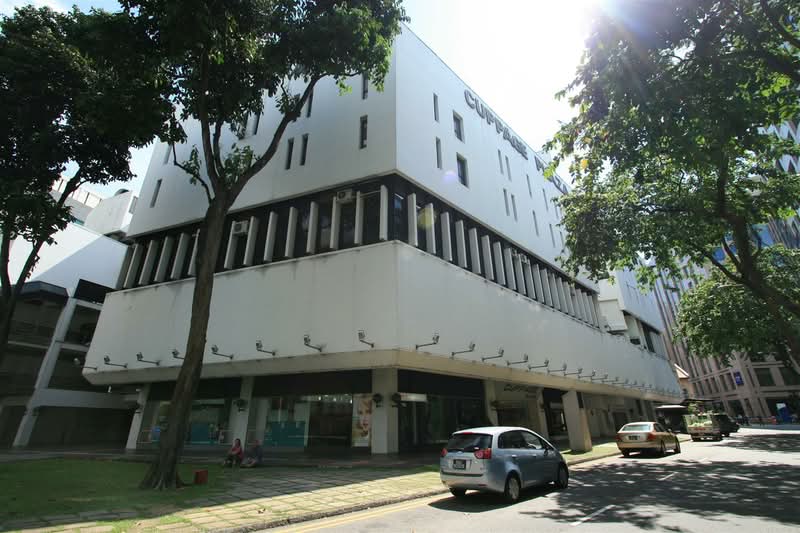 Cuppage Plaza, 5 Koek Road, 732 sqft, Other Retail For Sale, by Ivy Ng, 25529945 - CommercialGuru.com.sg