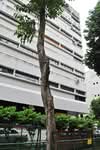 Genting Warehouse Complex #0