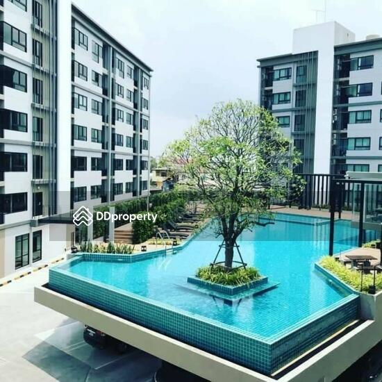 For Sale - The Harmonest Condo, Chon Buri