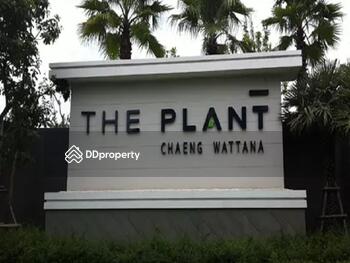 The Plant Chaengwattana : เดอะ แพลนท์ แจ้งวัฒนะ