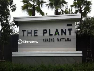- The Plant Chaengwattana : เดอะ แพลนท์ แจ้งวัฒนะ