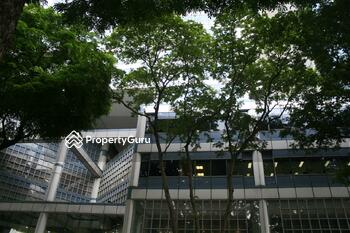 Income at Raffles