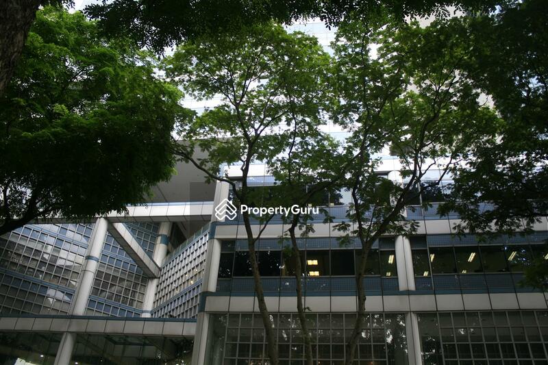 Income at Raffles #0