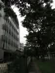 International Bearings Building #0