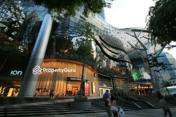 ION Orchard
