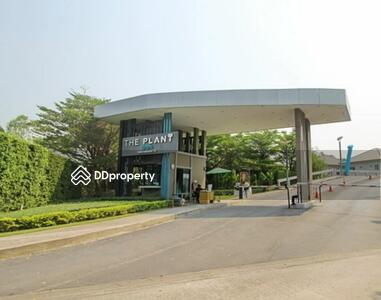 - The Plant Simpls Ramkhamheang 118 : เดอะแพลนท์ ซิมพลีส รามคำแหง 118