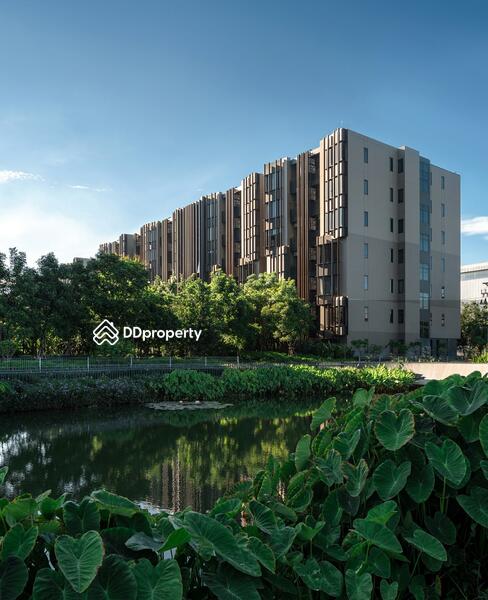 For Rent - Jin Wellbeing County, Pathum Thani