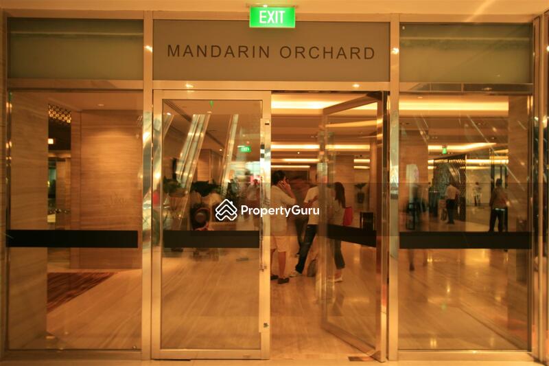 Mandarin Gallery #0