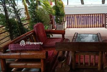 โกลเด้น แอลเลฟเฟ่นส์ (Golden Elephant)
