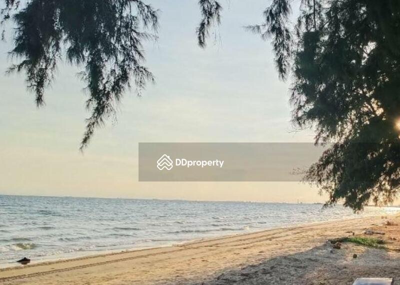 โกลเด้น แอลเลฟเฟ่นส์ (Golden Elephant) #0