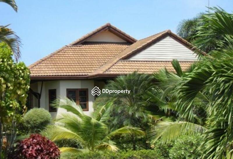 เทอเทิล วิลเลจ (Turtle Village) #0